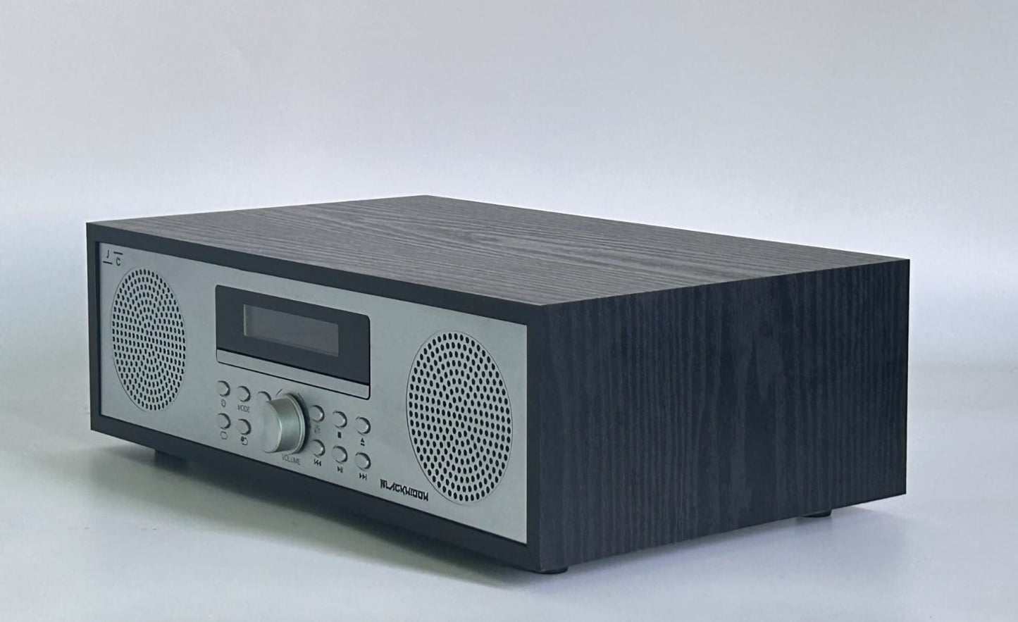 CD Player Stereo (S301)